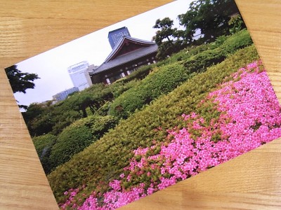 iPhone 3GSで撮影した写真