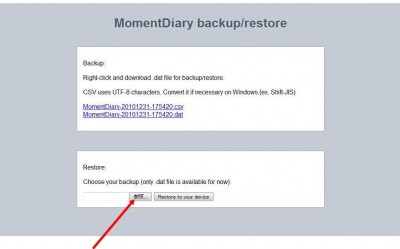 瞬間日記の同期