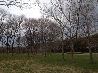 煮詰まったら園内をウォーキング